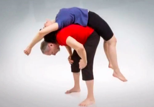 Занятия по парной йоге с  Александром Ласточкиным (12 видео уроков)