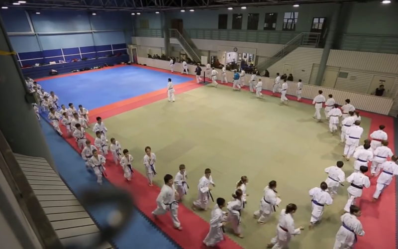 ramenki team karate moscow